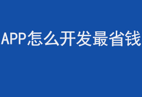 APP怎么開發(fā)省錢？